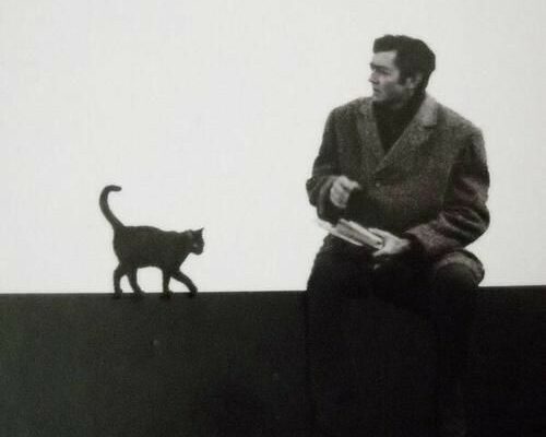 contooh untuk politik