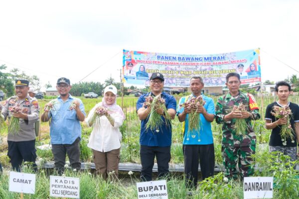 Bupati Deli Serdang Pastikan Alsintan Gratis, Bawang Petani Diserap BUMD