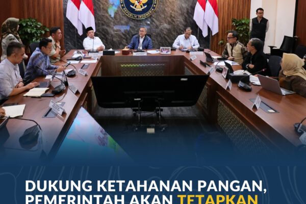 Dukung Ketahanan Pangan, Pemerintah Akan Tetapkan Lahan Sawah yang Dilindungi di 12 Provinsi