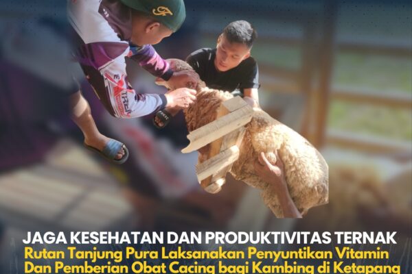 Rutan Tanjung Pura Lakukan Penyuntikan Vitamin dan Obat Cacing untuk Ternak Kambing