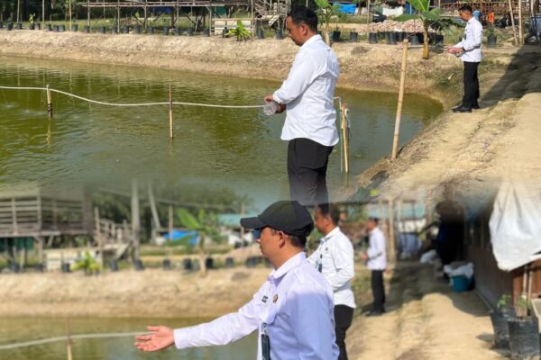 Rutan Tanjung Pura Optimalkan Lahan Ketapang dan Brandgang, Dukung Swasembada Pangan Nasional