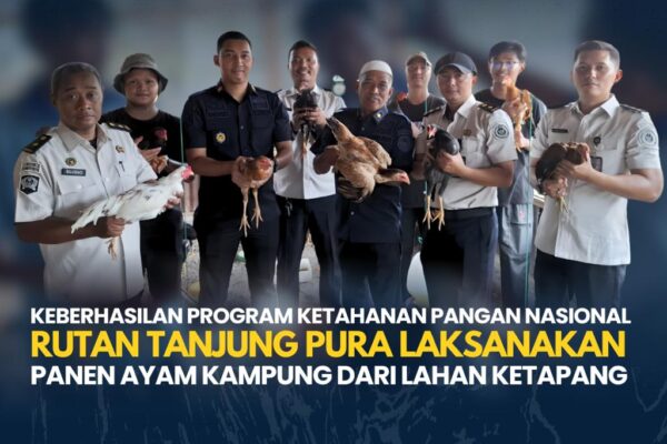 Panen Ayam Kampung, Rutan Tanjung Pura Dukung Ketahanan Pangan Nasional