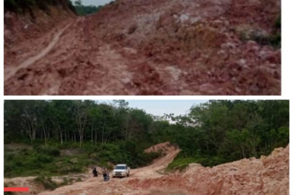 Asek Lumpuh Total Hujan Deras Picu Longsor Di Rantau Kasih Warga Terpaksa Membelah LadangKAMPAR KIRI HILIR