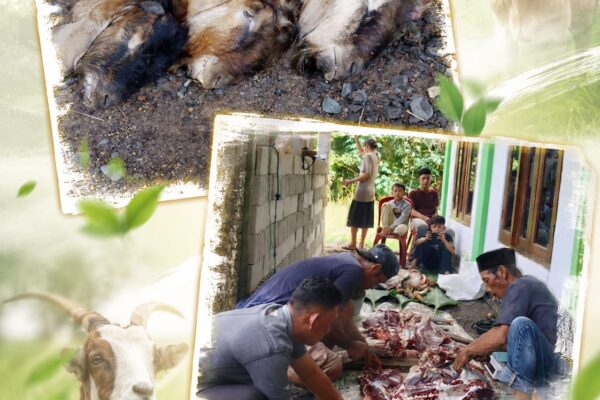 Penyembelihan Hewan Kurban Idul Adha 1447 H di Simpang Keramat Gemol Berjalan Lancar dan Penuh Kebersamaan