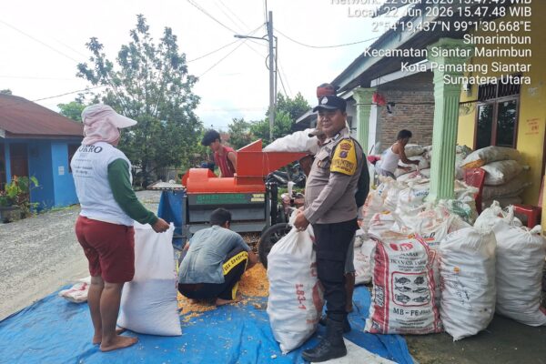 Luas Lahan 12 Rante, Hasil 68 Goni, Bhabinkamtibmas Polsek Siantar Marihat Monitoring Petani Binaan