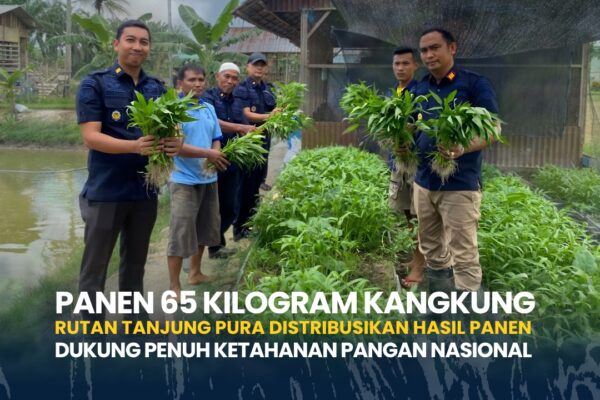 Panen 65 Kilogram Kangkung, Rutan Tanjung Pura Distribusikan Hasil Panen Dukung Penuh Ketahanan Pangan Nasional