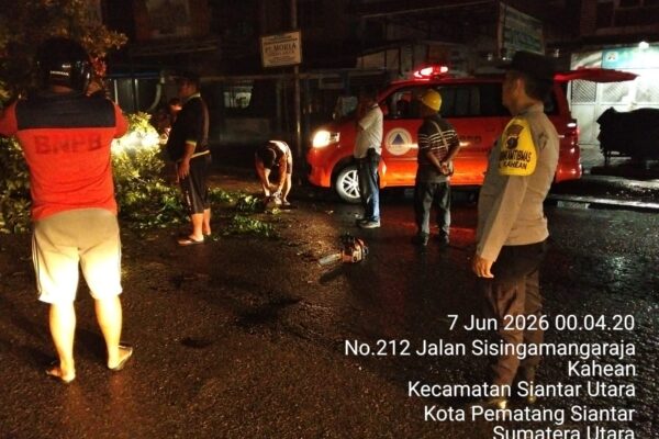 Pohon Tumbang Timpa Honda Brio dan Yamaha, Polsek Siantar Utara Bergerak Cepat Atur Arus Lalu Lintas