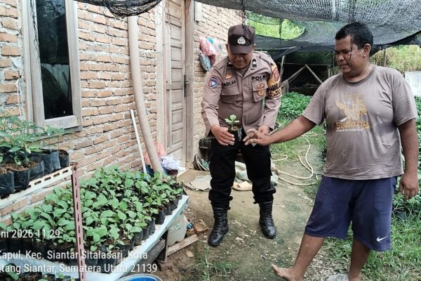 Polsek Siantar Martoba Dukung Ketahanan Pangan, Warga Binaan Tanam Cabai hingga Durian di Pekarangan Rumah