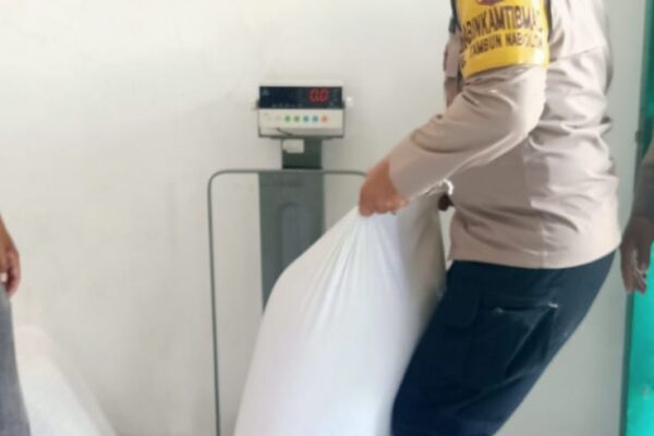 ​AKP Martua Manik: Pendampingan Petani Jagung Bukti Nyata Komitmen Polri dalam Ketahanan Pangan