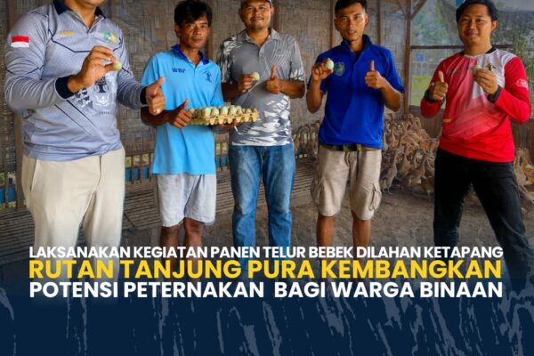 Panen Perdana Telur Bebek, Rutan Tanjung Pura Kembangkan Potensi Peternakan Warga Binaan