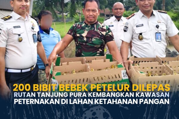 200 Bibit Bebek Petelur Dilepas Rutan Tanjung Pura Kembangkan Kawasan Peternakan DiLahan Ketahanan Pangan