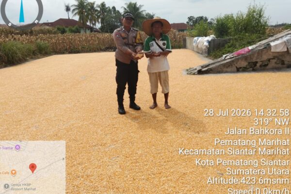 Polsek Siantar Marihat Pantau Penjemuran Jagung Petani, Serap Aspirasi Soal Bulog
