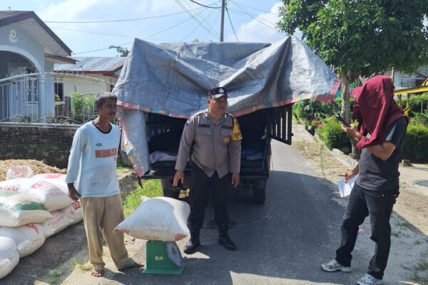 Bripka Johannes C. Siregar Kawal Penjualan Jagung, 663 Kg Laku Rp5.500/Kg dengan Kadar Air 16,2%