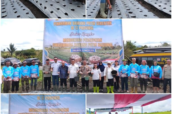 Polres Simalungun Turun ke Ladang, Dukung Program Swasembada Bawang Putih di Nagori Purba Tua Baru