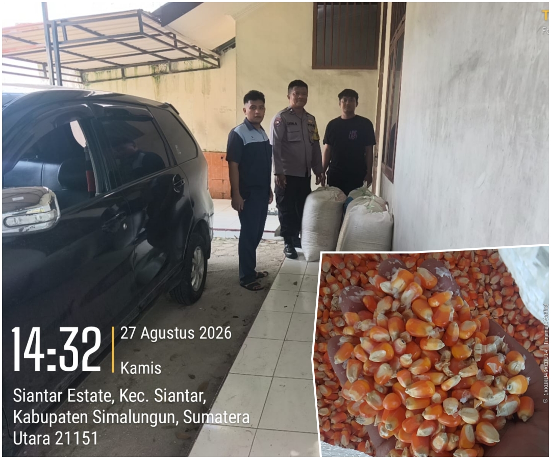 Bhabinkamtibmas Polsek Siantar Marihat Kawal Penjualan Jagung, Kapolsek: Bentuk Komitmen Polri Dukung Ketahanan Pangan