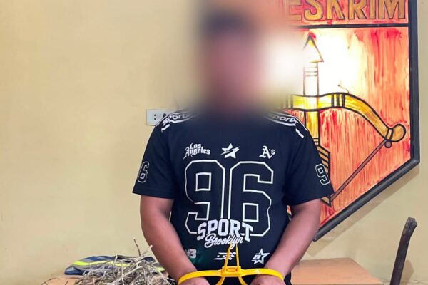 Polsek Bosar Maligas Bekuk Pengedar Ganja, 19 Paket Siap Edar Diamankan di Warung Milik Pelaku