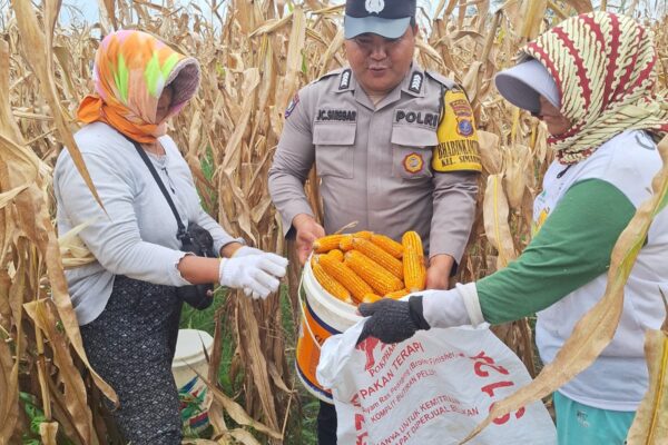 Polsek Siantar Marihat Dukung Ketahanan Pangan, Bhabinkamtibmas Himbau Petani Jual Hasil Panen ke Bulog