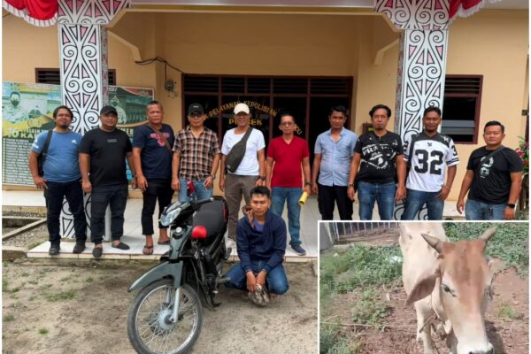 Polsek Bosar Maligas dan Jahtanras Polres Simalungun Ungkap Pencurian Ternak, Pelaku Akui Beraksi Dua Kali