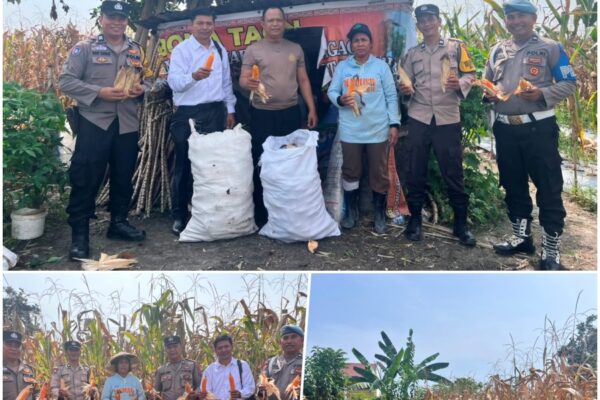 Polsek Siantar Selatan Dukung Ketapang, Bhabinkamtibmas Himbau Petani Jual Hasil Panen ke Bulog