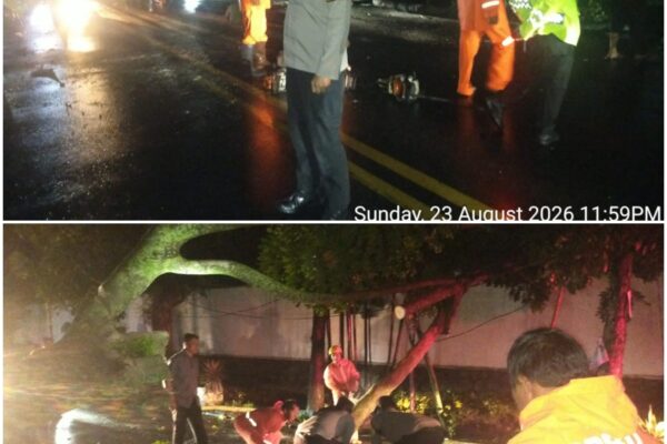 Hujan Deras dan Angin Kencang, Pohon Tumbang di Jalan Medan, Polsek Siantar Martoba dan BPBD Bergerak Cepat