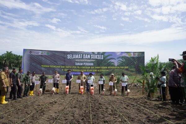 PTPN IV PalmCo Dorong Peremajaan Sawit Rakyat Disertai Tanam Padi Gogo di Asahan