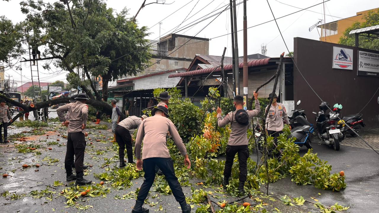 Wadanki Iptu Carsan Pimpin Pembersihan Pohon Tumbang, Jalur Medan Tembung Kembali Normal