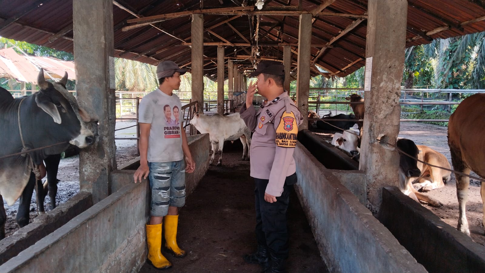AIPDA Fadlan Fahmi Sambangi Kandang Sapi UD Lekerkam, Beri Edukasi Kesehatan Ternak