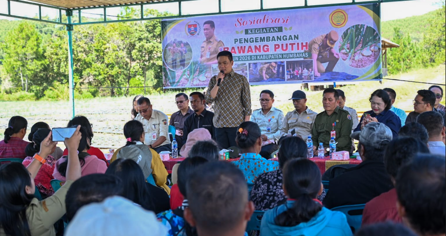 BUPATI HUMBAHAS: PETANI JANGAN RAGU PENGEMBANGAN BUDIDAYA BAWANG PUTIH