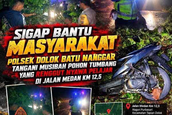 Pohon Mahoni Tumbang Timpa Pengendara Motor di Tapian Dolok, Korban Hariansyah Damanik Tutup Usia