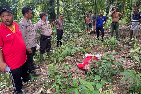 Tragedi Panen Sawit di Durian Banggal, Polsek Raya Kahean Bersama Warga Evakuasi Jenazah Kermalinson Sinaga