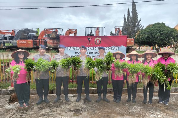 Panen Bayam dan Kangkung di Asrama, Brimob Batalyon C dan Bhayangkari Bagikan Hasil Pangan Gratis ke Prajurit