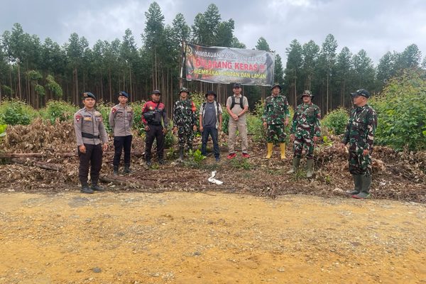 Antisipasi Kebakaran Hutan, Batalyon C Brimob Sumut Sisir Konsesi PT Sumatera Sylva Lestari dan SRL