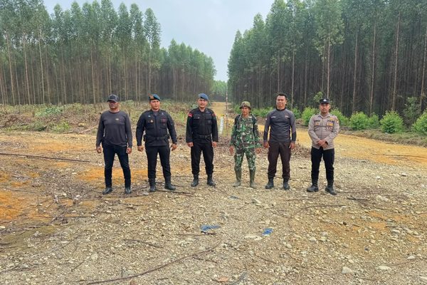 50 Personel Brimob Patroli Gabungan Cegah Karhutla di PT Sumatera Sylva Lestari dan Riang Lestari